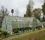 Lloyd Botanical Garden at Darjeeling
